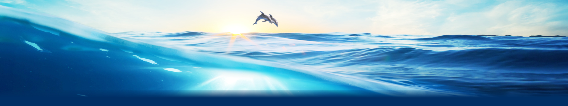 Student's Programme Student's Programme