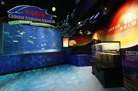 Photo 3: Chinese Sturgeon Aquarium – Yangtze Exploration