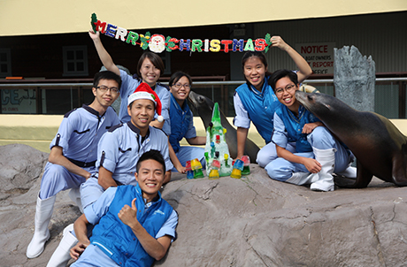 California sea lions at Pacific Pier joins a fun-filled Christmas party with their animal keepers.