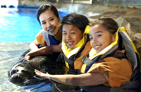 Seal Encounter (Enroll Now!) Seal Encounter (Enroll Now!)