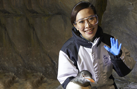 Penguin Encounter