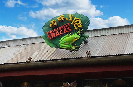 Rainforest Snacks