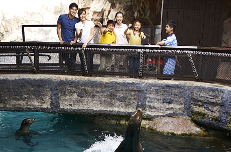 Sea Lion Feeding