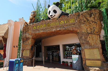 Sichuan Treasures Sichuan Treasures