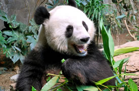 Conservation Matters