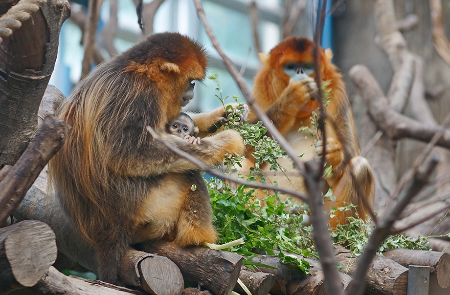Kindergarten Nature Experience Course